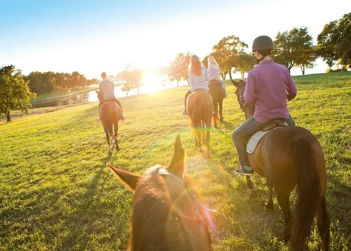Hermitage Tar-Vabriga